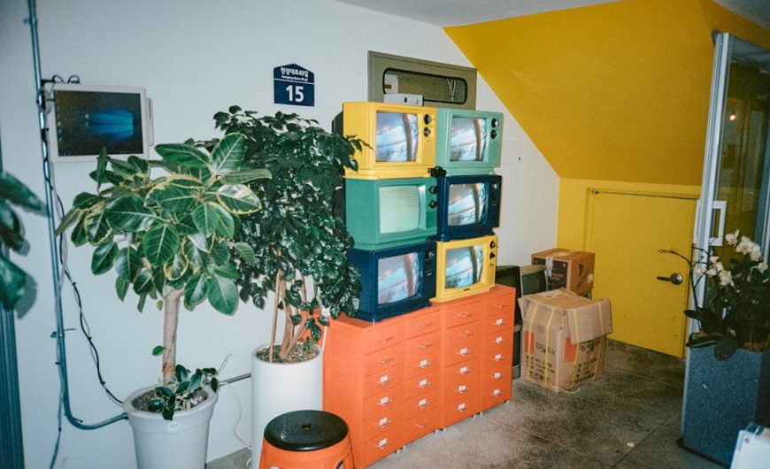 Elevate Your Living Space: Budget-Friendly Home Decor Products That Make a Big Impact